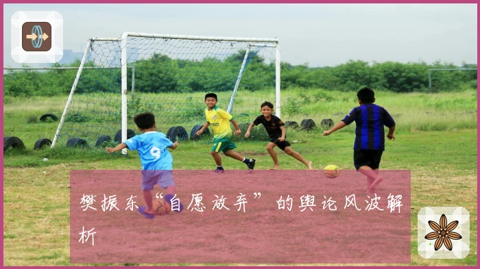 樊振东“自愿放弃”的舆论风波解析
